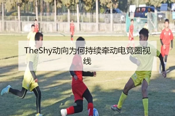 TheShy动向为何持续牵动电竞圈视线